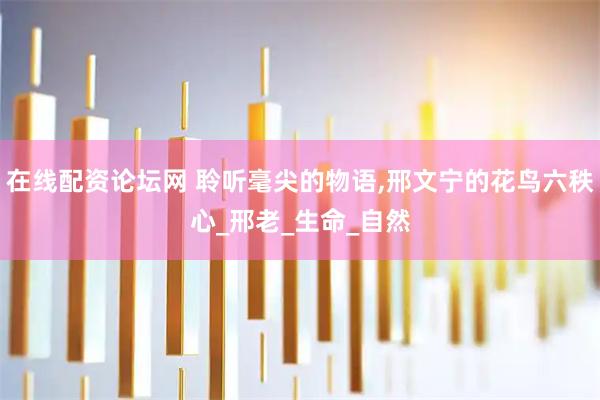 在线配资论坛网 聆听毫尖的物语,邢文宁的花鸟六秩心_邢老_生命_自然